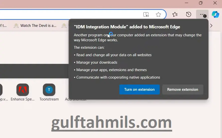 Internet Download Manager extension in internet explorer